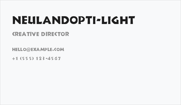 NeulandOpti-Light Business Card