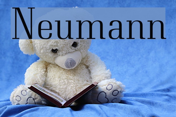 Neumann Font examples