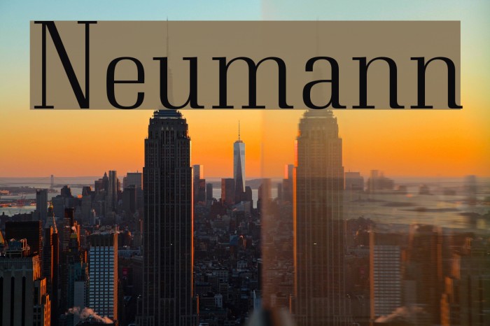 Neumann Font examples