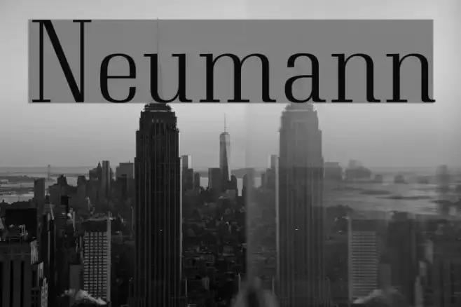 Neumann Example 2