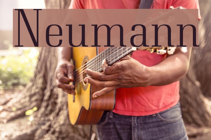 Neumann Font examples