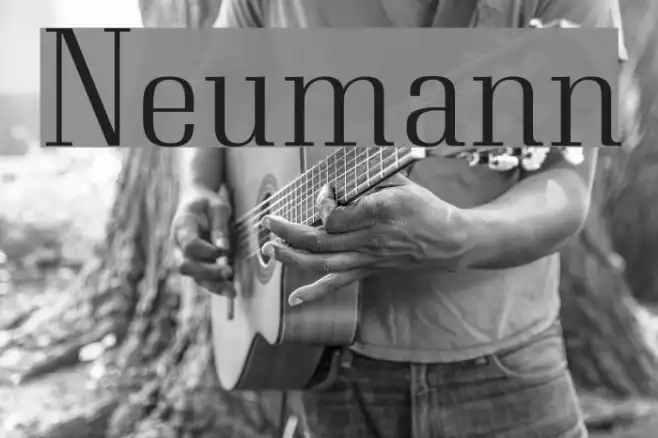 Neumann Example 3