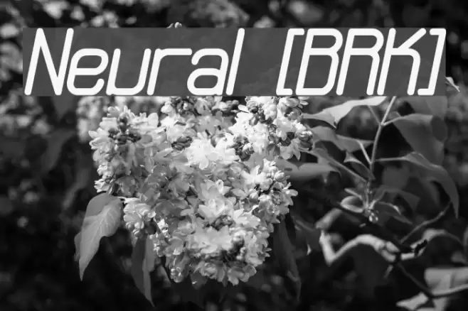Neural [BRK] Font examples