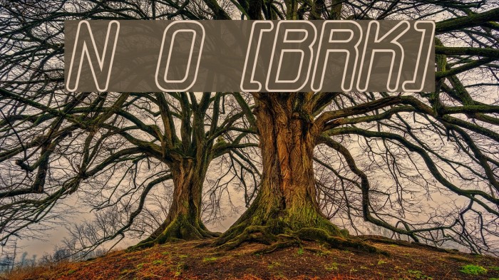 Neural Outline [BRK] Example 2