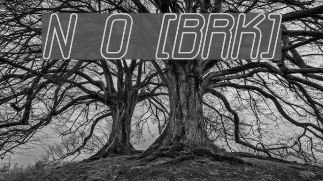 Neural Outline [BRK] Example 2