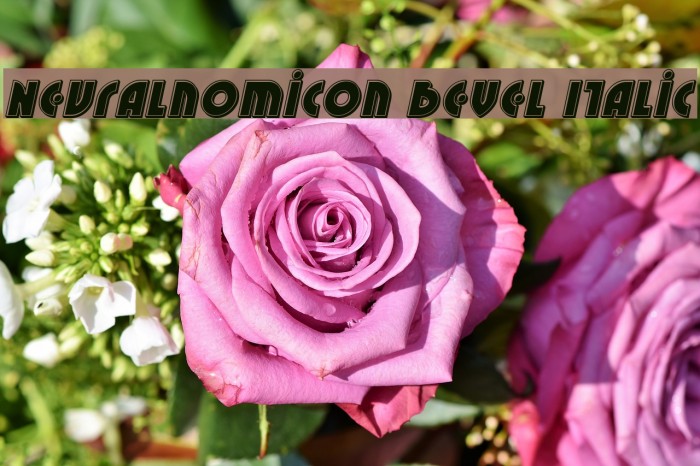 Neuralnomicon Bevel Italic Example 2