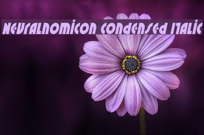 Neuralnomicon Condensed Italic Font examples