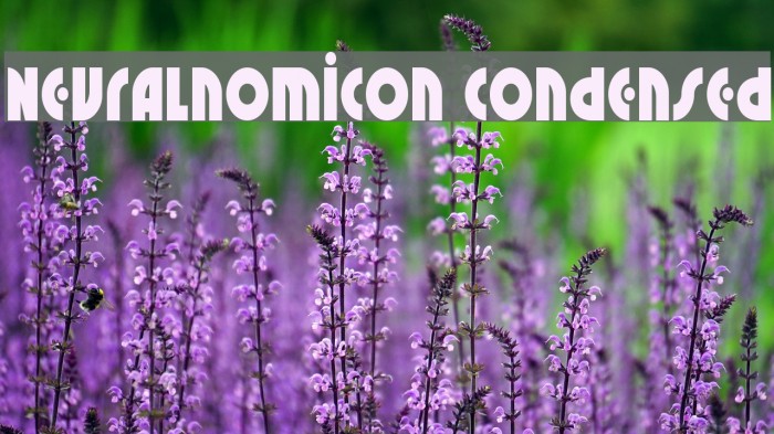 Neuralnomicon Condensed Example 1