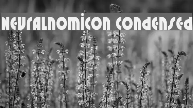 Neuralnomicon Condensed Font examples