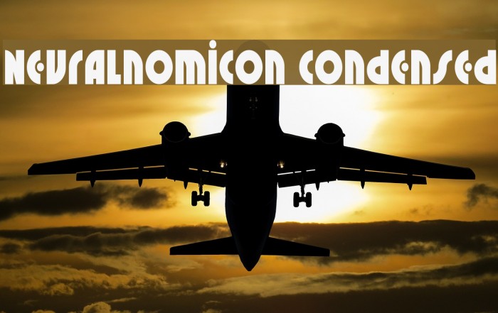 Neuralnomicon Condensed Example 3