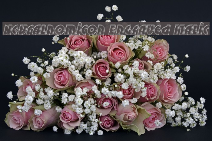 Neuralnomicon Engraved Italic Example 2