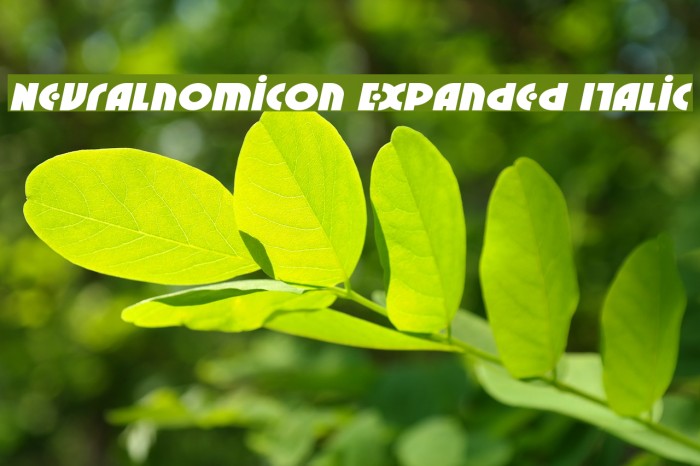 Neuralnomicon Expanded Italic Font examples