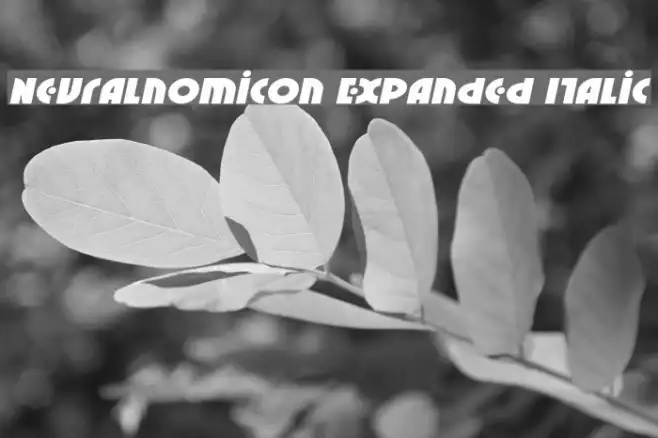 Neuralnomicon Expanded Italic Example 2