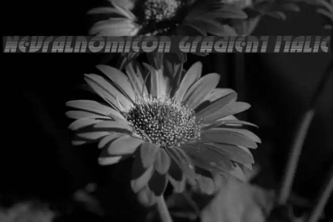 Neuralnomicon Gradient Italic Font examples