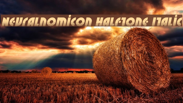 Neuralnomicon Halftone Italic Font examples