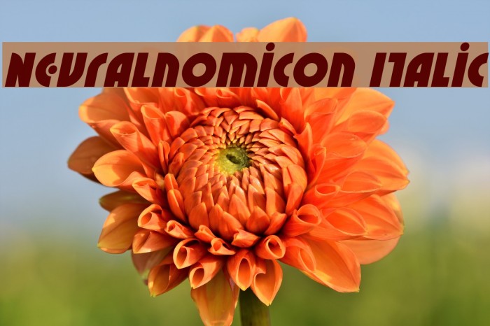Neuralnomicon Italic Font examples
