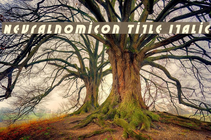 Neuralnomicon Title Italic Font examples
