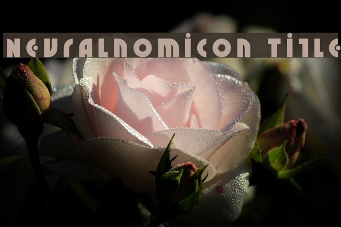 Neuralnomicon Title Example 1