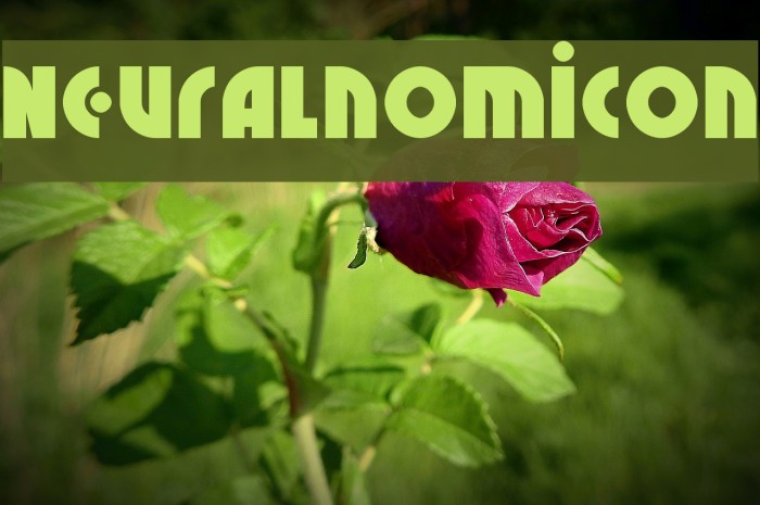 Neuralnomicon 字体 examples