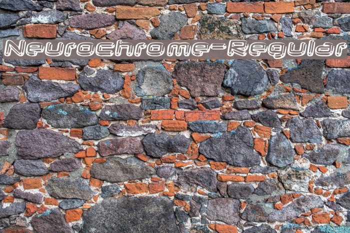 Neurochrome-Regular Example 2