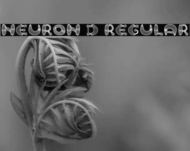 Neuron 3D Regular Example 1