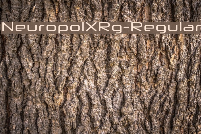 NeuropolXRg-Regular Font examples