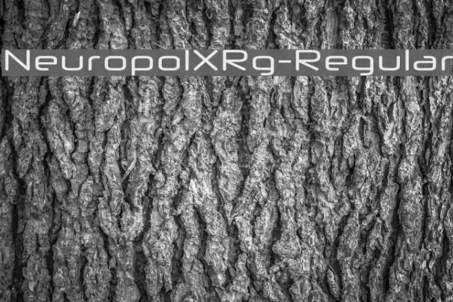 NeuropolXRg-Regular Font examples