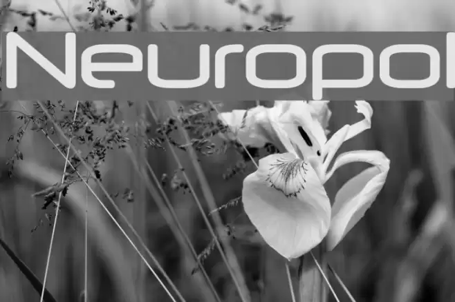 Neuropol Font examples