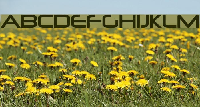 Neuropolitical Font examples