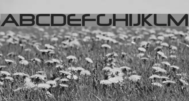 Neuropolitical Font examples