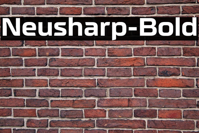 Neusharp-Bold Example 1