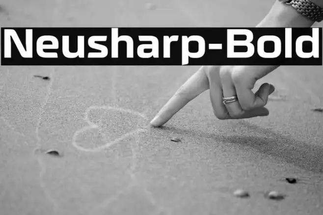 Neusharp-Bold Example 2
