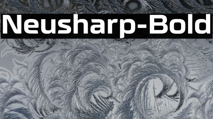 Neusharp-Bold Example 3