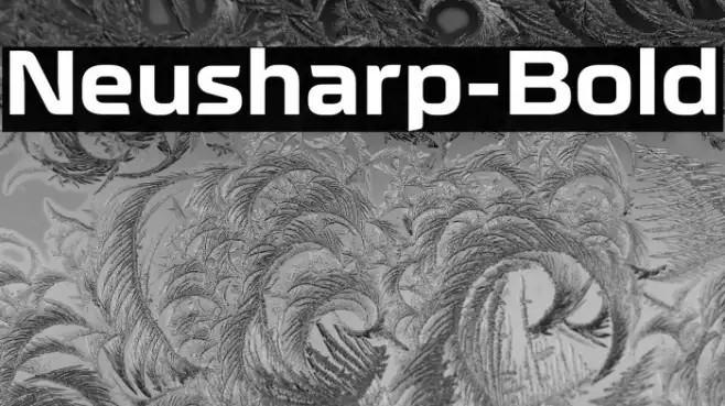 Neusharp-Bold Example 3