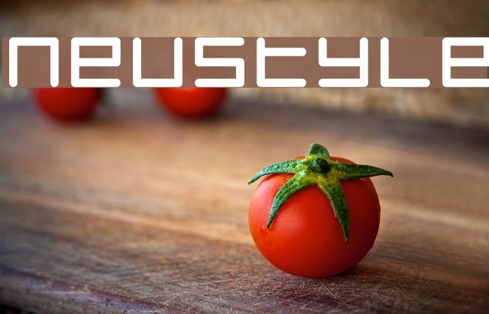 Neustyle Font examples