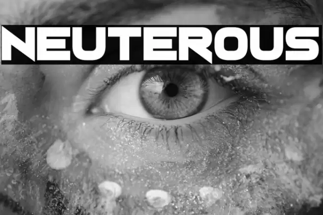 Neuterous Font examples