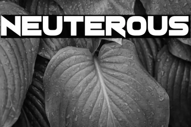 Neuterous Font examples
