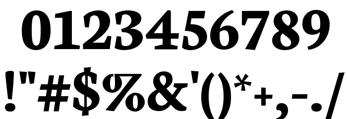 Neuton Bold Font OTHER CHARS