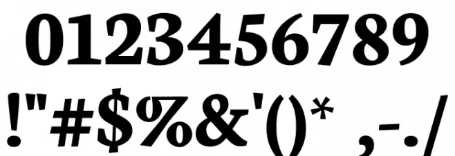 Neuton Bold Font OTHER CHARS