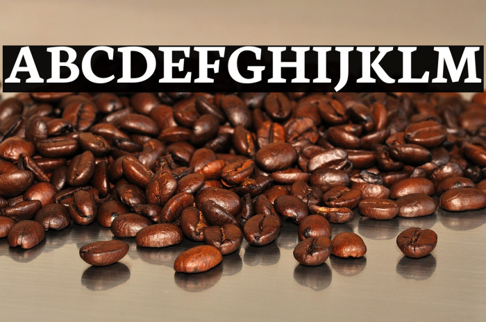 Neuton Bold Example 1