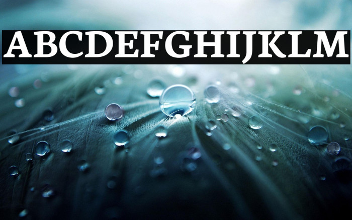 Neuton Bold Example 3