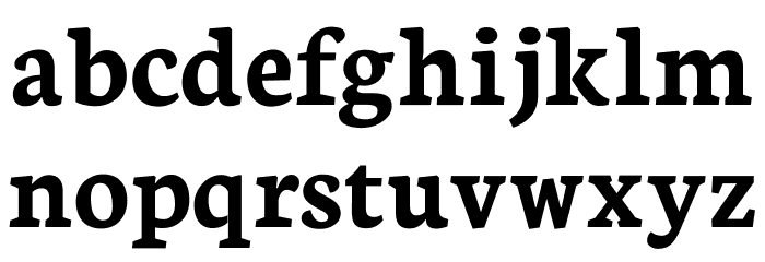 Neuton Bold Font LOWERCASE
