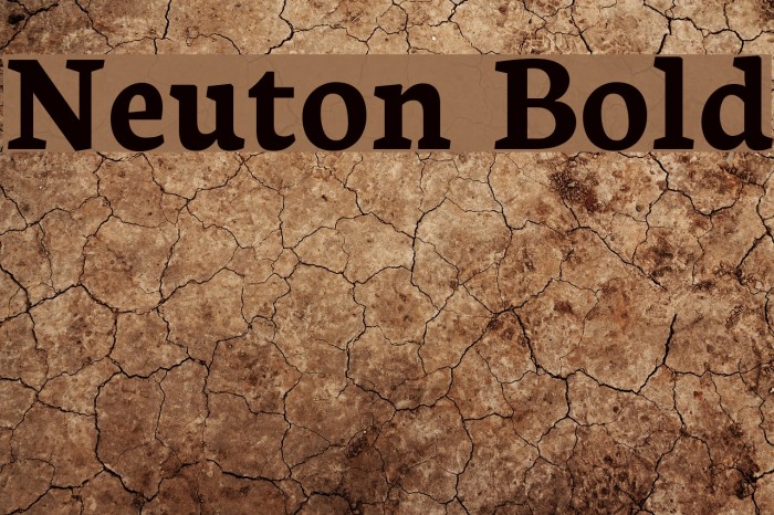 Neuton Bold Font examples