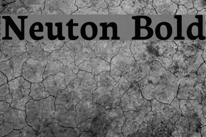 Neuton Bold examples