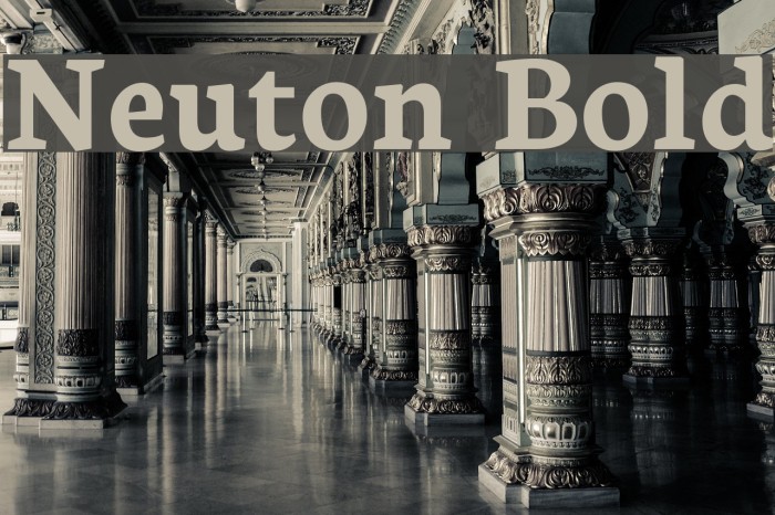 Neuton Bold Font examples