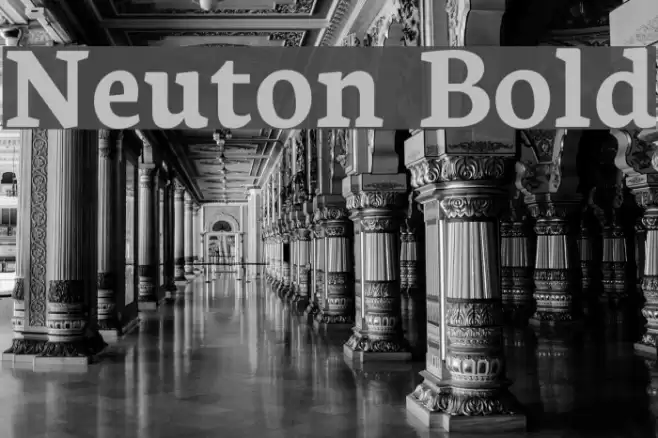 Neuton Bold examples