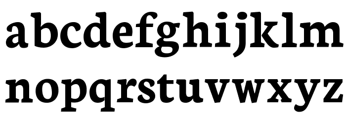 Neuton Bold Font LOWERCASE