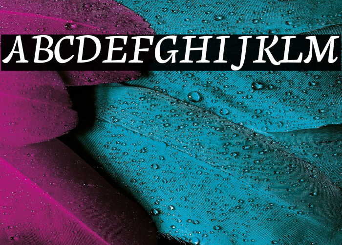 Neuton Cursive Example 1