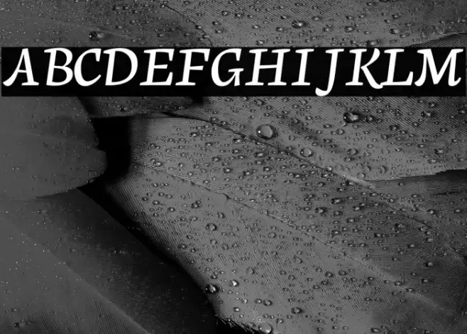 Neuton Cursive Font examples