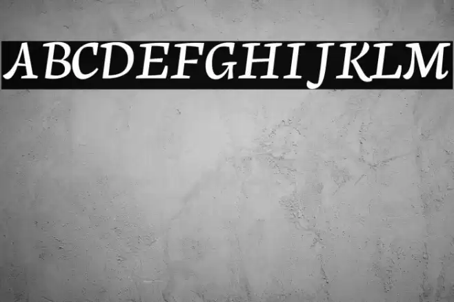 Neuton Cursive Font examples